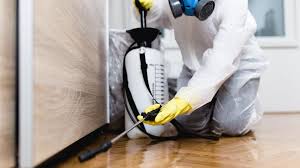 Best Fumigation Services  in West Ack, NY